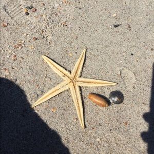 Meet your Posher, Casey